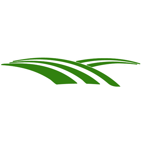 Company Name